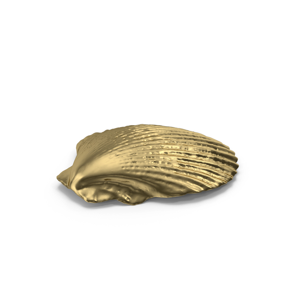 Gold Shell PNG Images & PSDs for Download | PixelSquid - S122861127