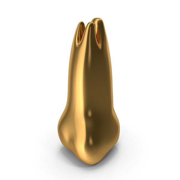 Golden Human Teeth Upper Third Molar Wisdom PNG & PSD Images Golden Human Teeth Upper Third Molar Wisdom PNG & PSD Images