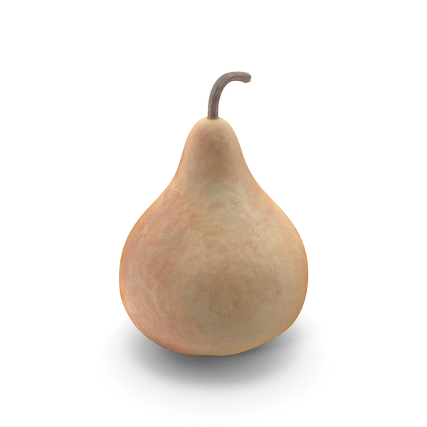 Gourd PNG & PSD Images