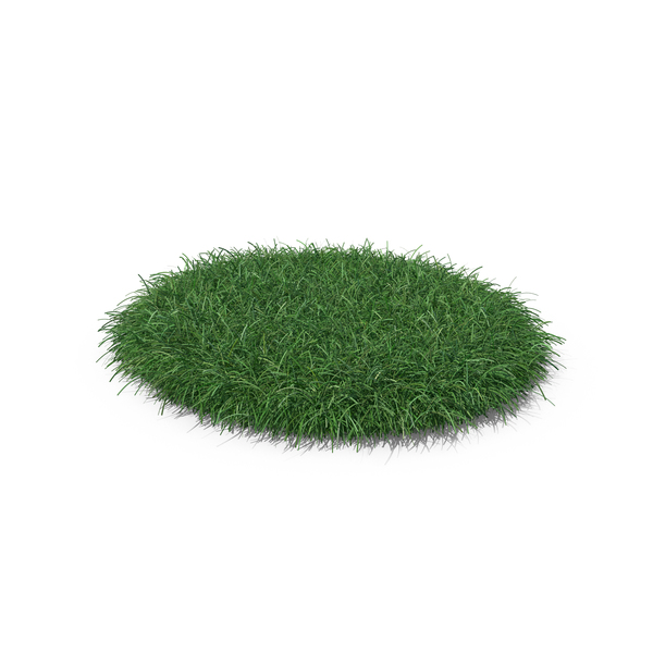 Grass PNG & PSD Images Grass PNG & PSD Images