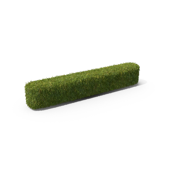Punctuation: Grass Backslash Symbol PNG & PSD Images Punctuation: Grass Backslash Symbol PNG & PSD Images
