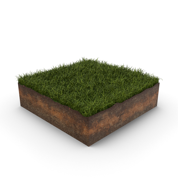 Grass Cross Section PNG Images & PSDs for Download | PixelSquid ...