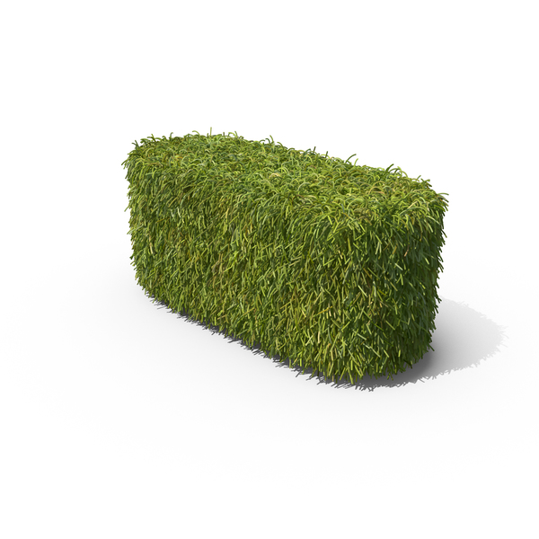 Punctuation: Grass Dash Symbol PNG & PSD Images Punctuation: Grass Dash Symbol PNG & PSD Images