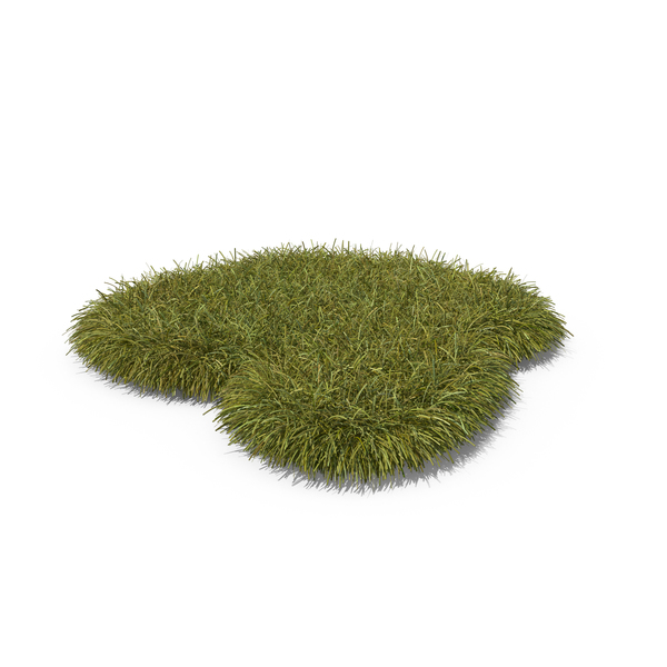 Grasses: Grass PNG & PSD Images Grasses: Grass PNG & PSD Images