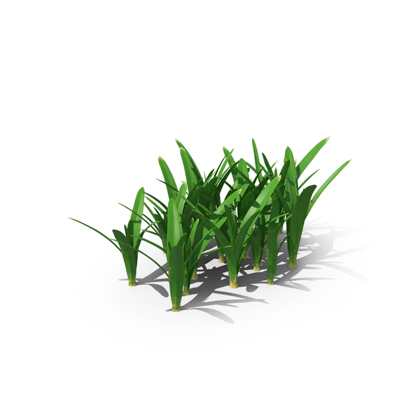 Grasses: Grass PNG & PSD Images Grasses: Grass PNG & PSD Images