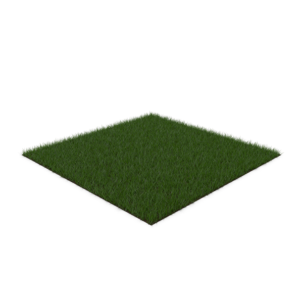 Grass PNG Images & PSDs for Download | PixelSquid - S112980878