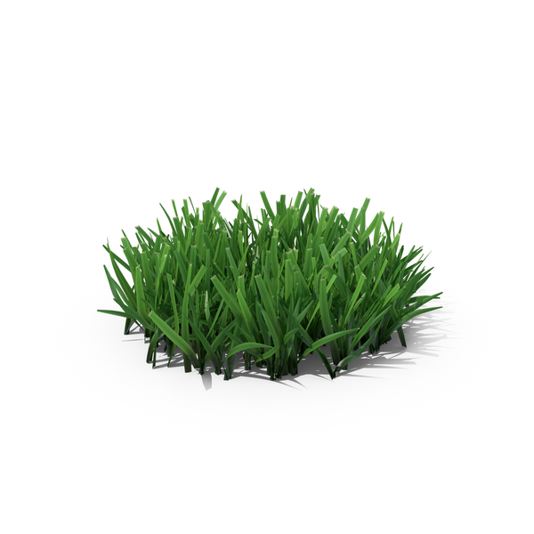 Grasses: Grass PNG & PSD Images Grasses: Grass PNG & PSD Images