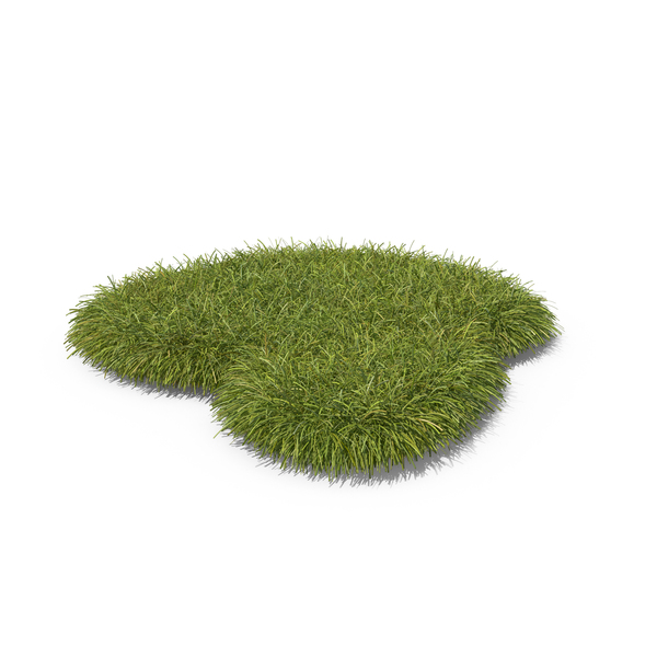 Grasses: Grass PNG & PSD Images Grasses: Grass PNG & PSD Images