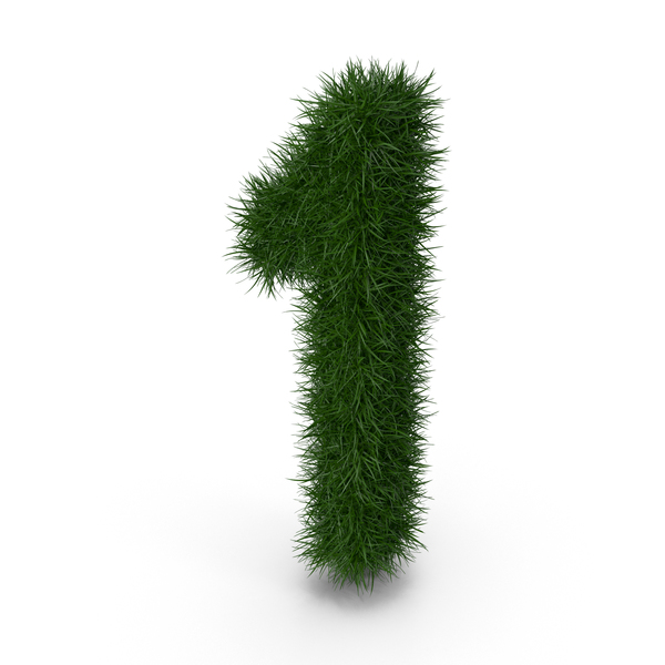 Grass Number 1 PNG Images & PSDs for Download | PixelSquid - S11268134B