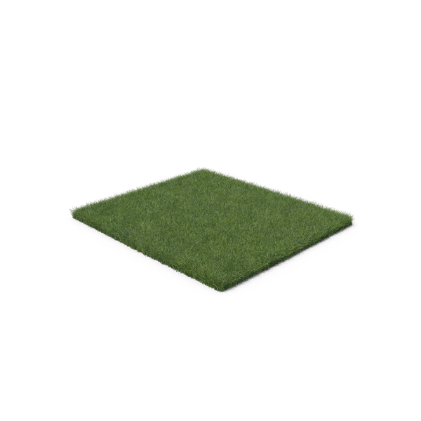 Grasses: Grass Patch PNG & PSD Images Grasses: Grass Patch PNG & PSD Images