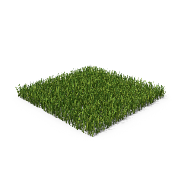 Grass Patch PNG Images & PSDs for Download | PixelSquid - S11273026A