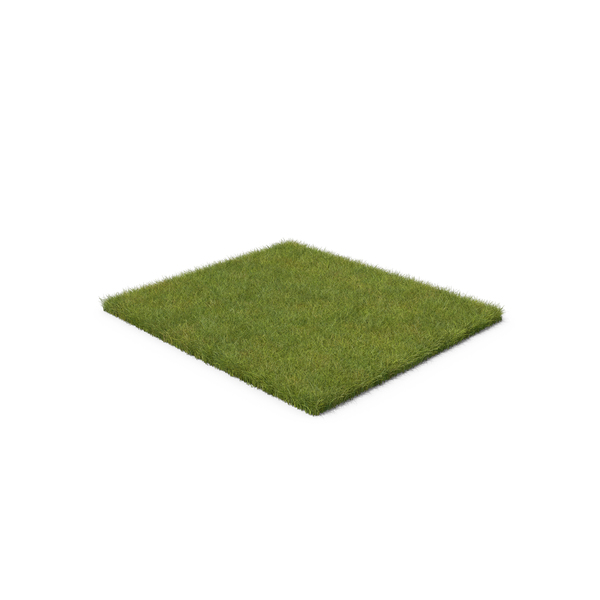 Grasses: Grass Patch PNG & PSD Images Grasses: Grass Patch PNG & PSD Images