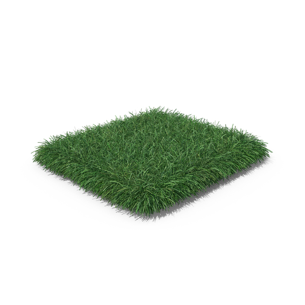 Summer: Grass Patch PNG & PSD Images Summer: Grass Patch PNG & PSD Images