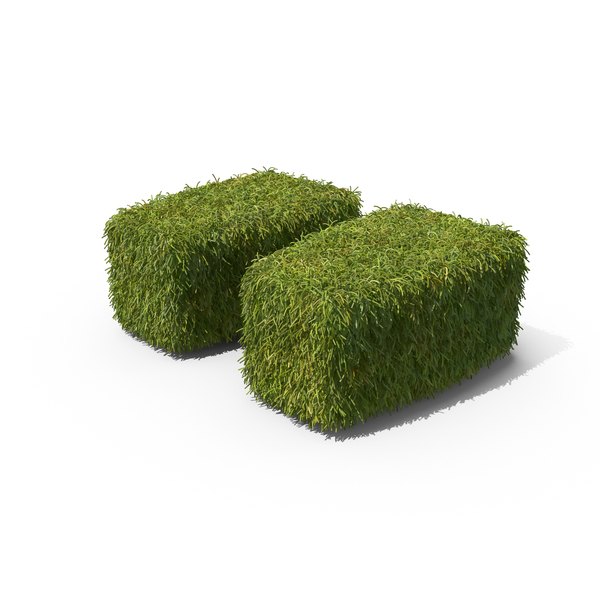Topiary: Grass Quote Symbol on Ground PNG & PSD Images Topiary: Grass Quote Symbol on Ground PNG & PSD Images