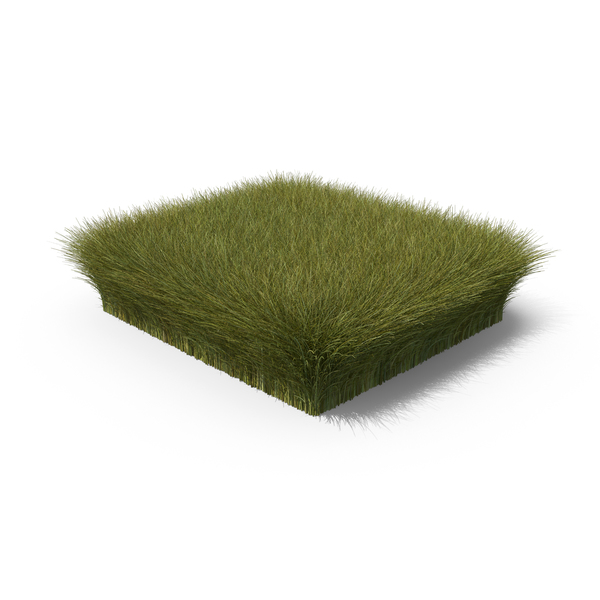 Grasses: Grass Section PNG & PSD Images Grasses: Grass Section PNG & PSD Images