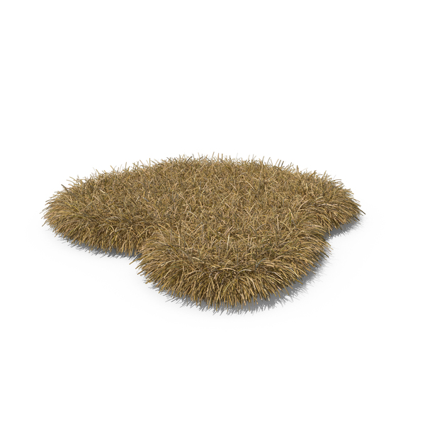 Grasses: Grass Shape PNG & PSD Images Grasses: Grass Shape PNG & PSD Images