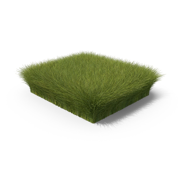 Grasses: Grass Shape PNG & PSD Images Grasses: Grass Shape PNG & PSD Images