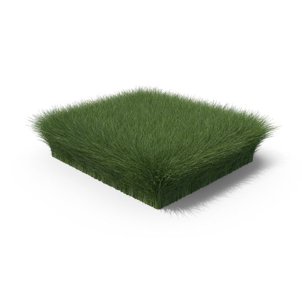 Summer: Grass Shape PNG & PSD Images Summer: Grass Shape PNG & PSD Images