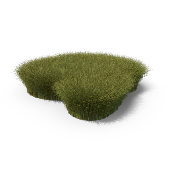 Summer: Grass Shape PNG & PSD Images Summer: Grass Shape PNG & PSD Images