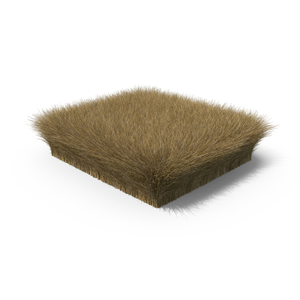 Grasses: Grass Shape Tall PNG & PSD Images Grasses: Grass Shape Tall PNG & PSD Images