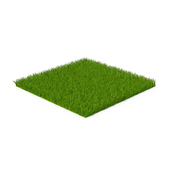 Ornamental: Grass Square PNG & PSD Images Ornamental: Grass Square PNG & PSD Images