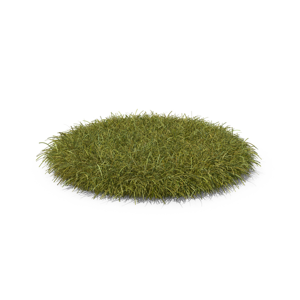 Grass PNG Images & PSDs for Download | PixelSquid - S111365228