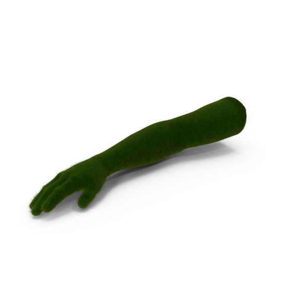 Hand: Grassy Arm Open PNG & PSD Images Hand: Grassy Arm Open PNG & PSD Images