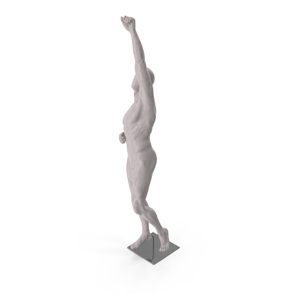 Mannequin: Gray Male Base Body With One Hand In Air PNG & PSD Images Mannequin: Gray Male Base Body With One Hand In Air PNG & PSD Images