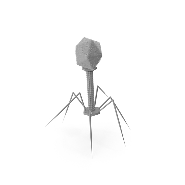 Grey Bacteriophage PNG Images & PSDs for Download | PixelSquid - S12164702C