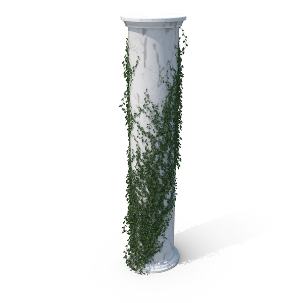 Column With: Growing Ivy PNG & PSD Images Column With: Growing Ivy PNG & PSD Images