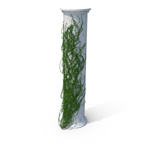 Column With: Growing Ivy PNG & PSD Images Column With: Growing Ivy PNG & PSD Images