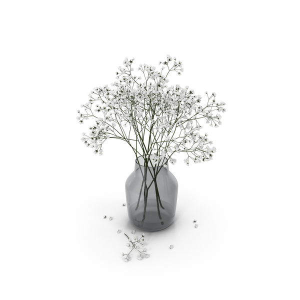 Bouquet: Gypsophila PNG & PSD Images Bouquet: Gypsophila PNG & PSD Images