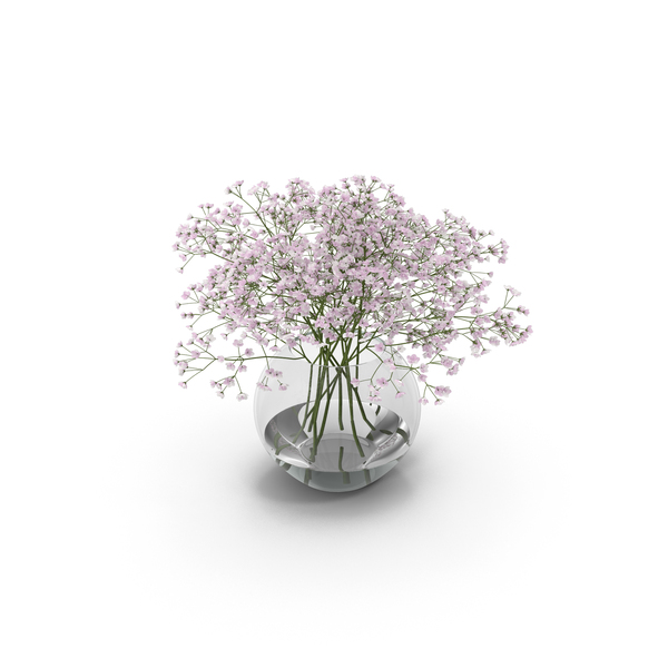 Bouquet: Gypsophila PNG & PSD Images Bouquet: Gypsophila PNG & PSD Images