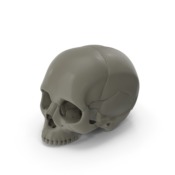 Halloween Skull PNG & PSD Images Halloween Skull PNG & PSD Images