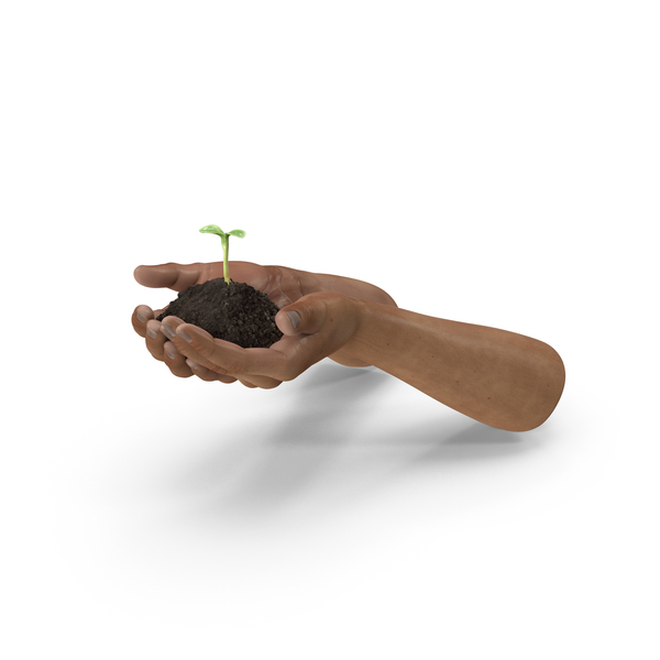 Hand: Hands Holding Seedling PNG & PSD Images Hand: Hands Holding Seedling PNG & PSD Images