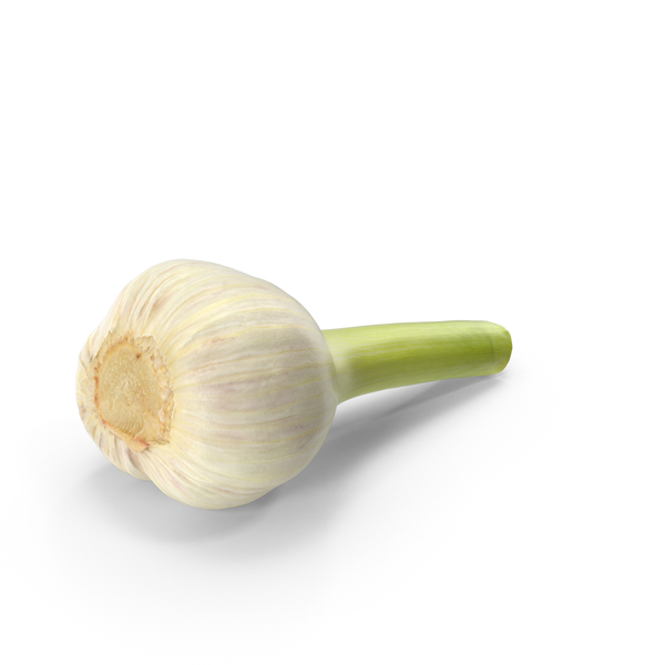 Hardneck Garlic PNG & PSD Images Hardneck Garlic PNG & PSD Images