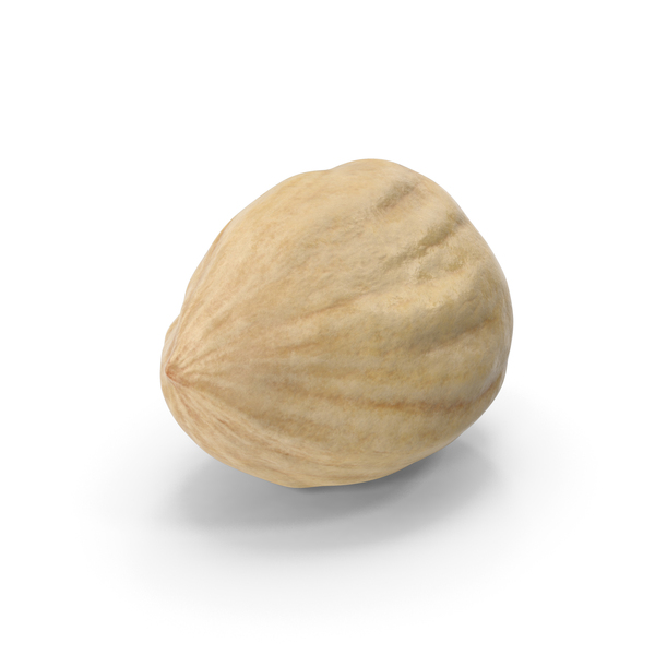 Hazelnut PNG & PSD Images Hazelnut PNG & PSD Images