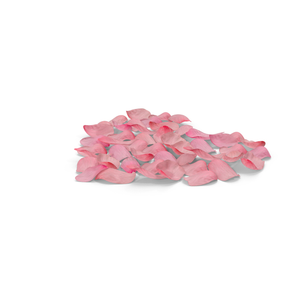 Shape: Heart of Petals Pink PNG & PSD Images Shape: Heart of Petals Pink PNG & PSD Images