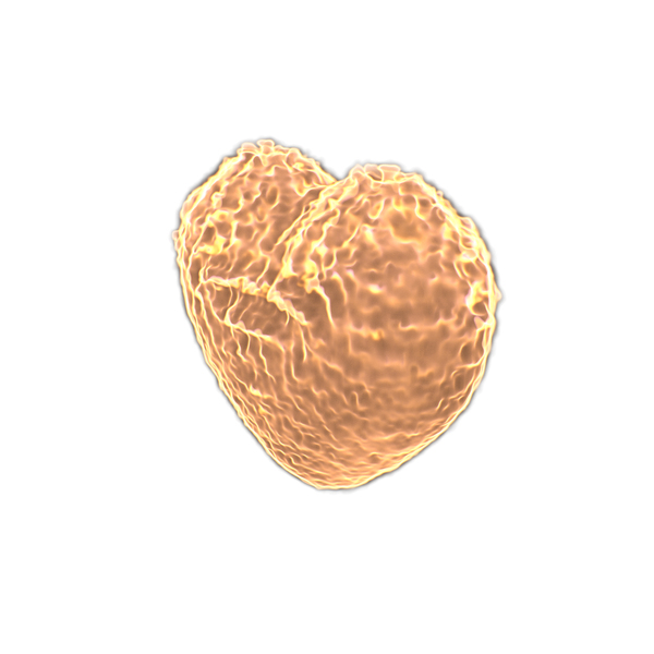 Shape: Heart on Fire PNG & PSD Images Shape: Heart on Fire PNG & PSD Images