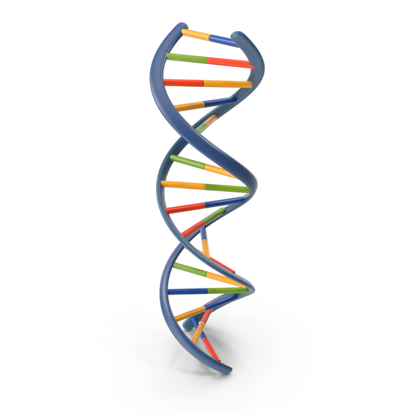 Helix DNA PNG & PSD Images