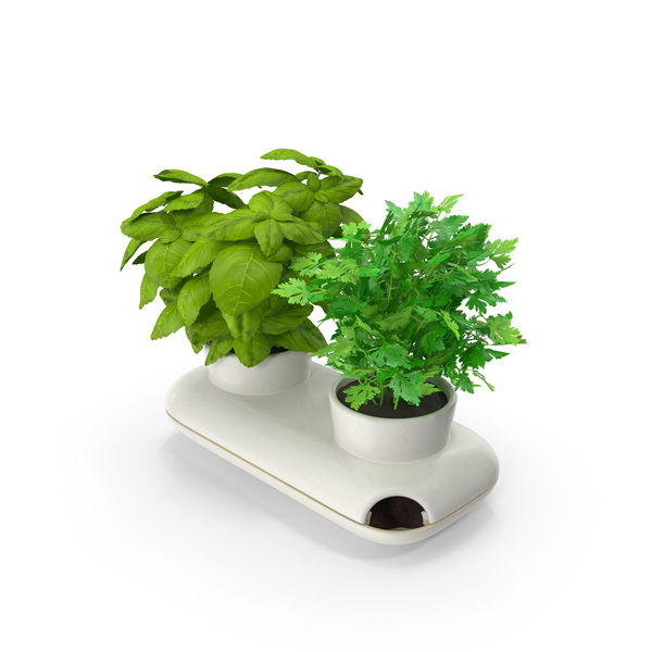 Flower: Herbs In Sagaform Double Pot White PNG & PSD Images Flower: Herbs In Sagaform Double Pot White PNG & PSD Images