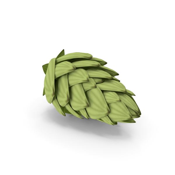 Hops: Hop Cone PNG & PSD Images Hops: Hop Cone PNG & PSD Images