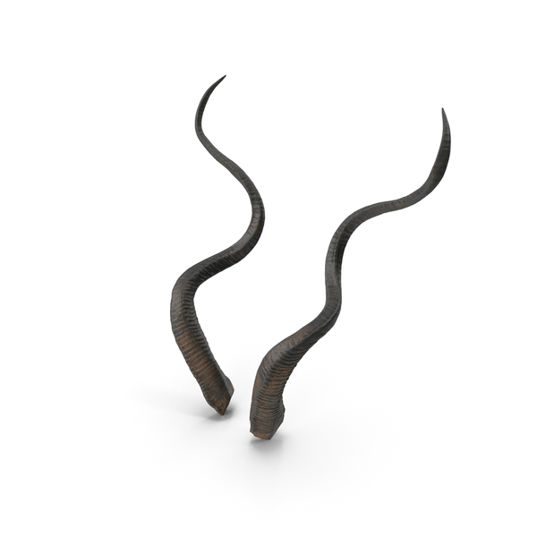 Animal: Horns PNG & PSD Images Animal: Horns PNG & PSD Images