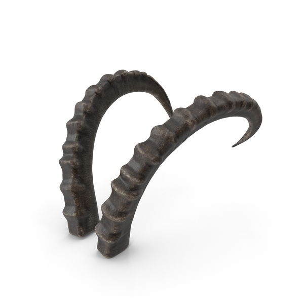 Animal: Horns PNG & PSD Images