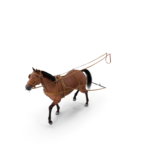 Horse Drawn Leather Single Driving Harness Walking Pose Fur PNG & PSD Images