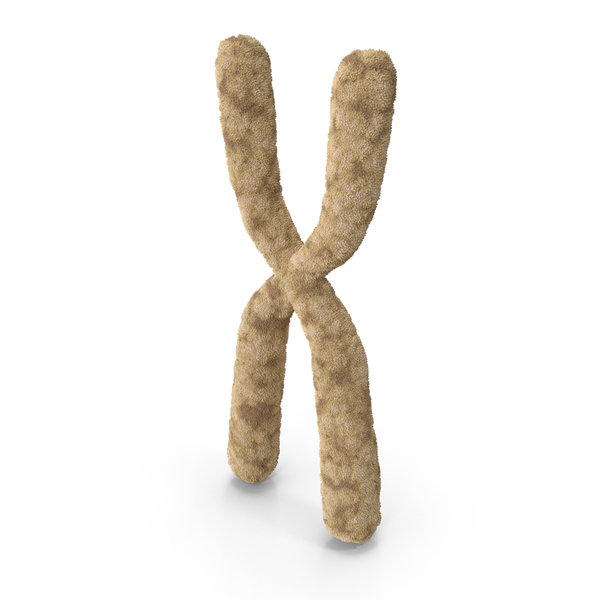 X Chromosome: Сhromosome PNG & PSD Images X Chromosome: Сhromosome PNG & PSD Images