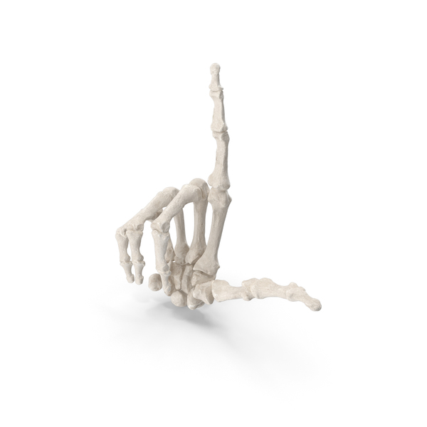 Skeletal: Human Hand Bones White Loser Sign PNG & PSD Images Skeletal: Human Hand Bones White Loser Sign PNG & PSD Images