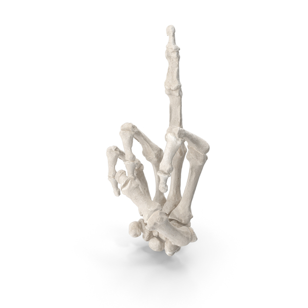 Skeletal: Human Hand Bones White Middle Finger Sign PNG & PSD Images Skeletal: Human Hand Bones White Middle Finger Sign PNG & PSD Images