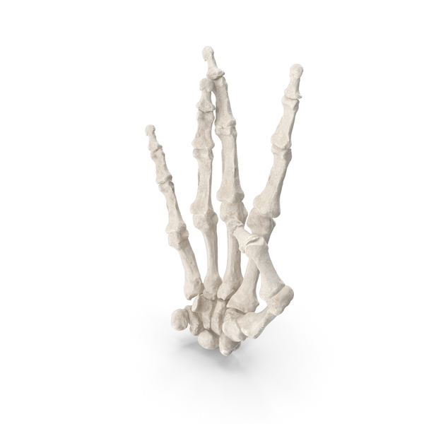 Gestures: Human Hand Bones White West Side Sign PNG & PSD Images Gestures: Human Hand Bones White West Side Sign PNG & PSD Images