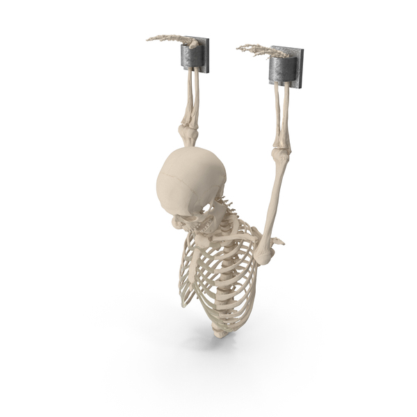 Human Male Remains Skeleton Shackled PNG & PSD Images Human Male Remains Skeleton Shackled PNG & PSD Images